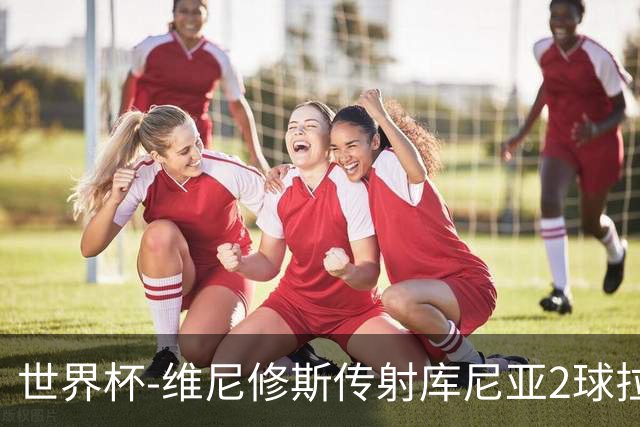 世界杯-维尼修斯传射库尼亚2球拉菲尼亚伤退 半场巴西3-0海地