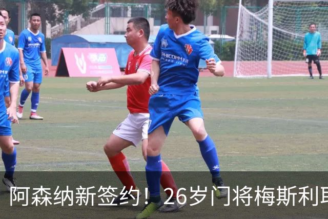 阿森纳新签约！26岁门将梅斯利耶免费加盟，成为拉亚的替补人选