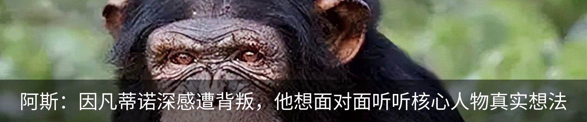 行业资讯
